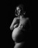 maternity portrait celina tx